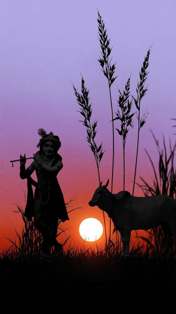 krishna_wallpaper_19