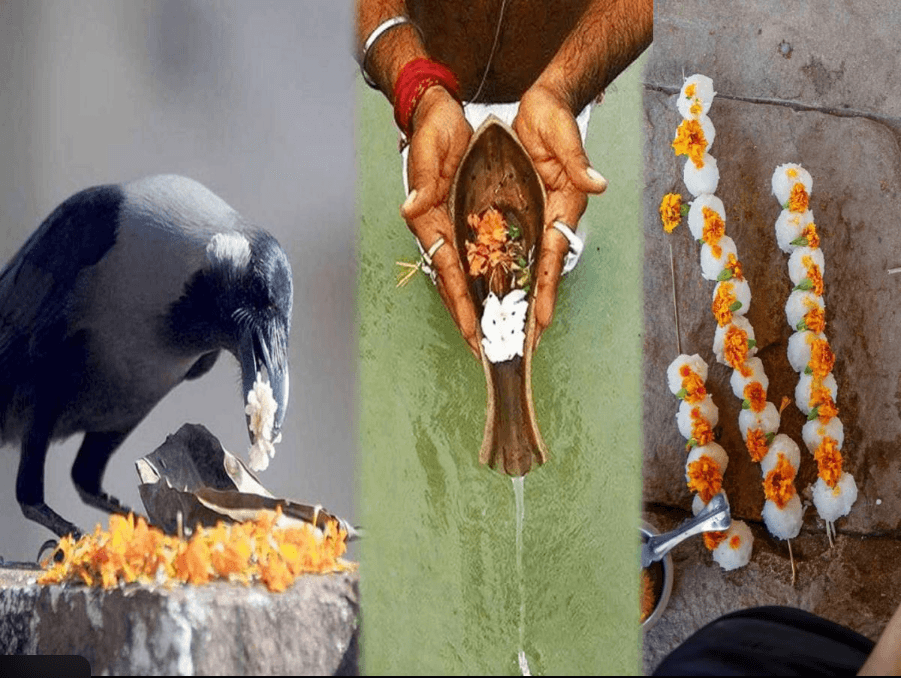 purnima shraddha