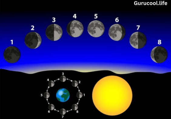 https://drive.gurucool.life/blogsImage/Gurucool.life (18).png